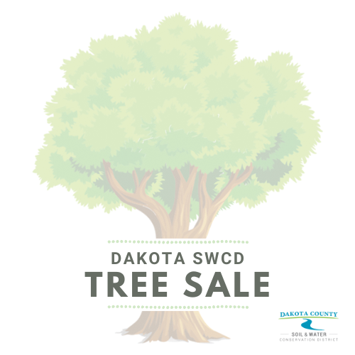 Dakota SWCD Tree Sale with illustration of a tree with text over the trunk
