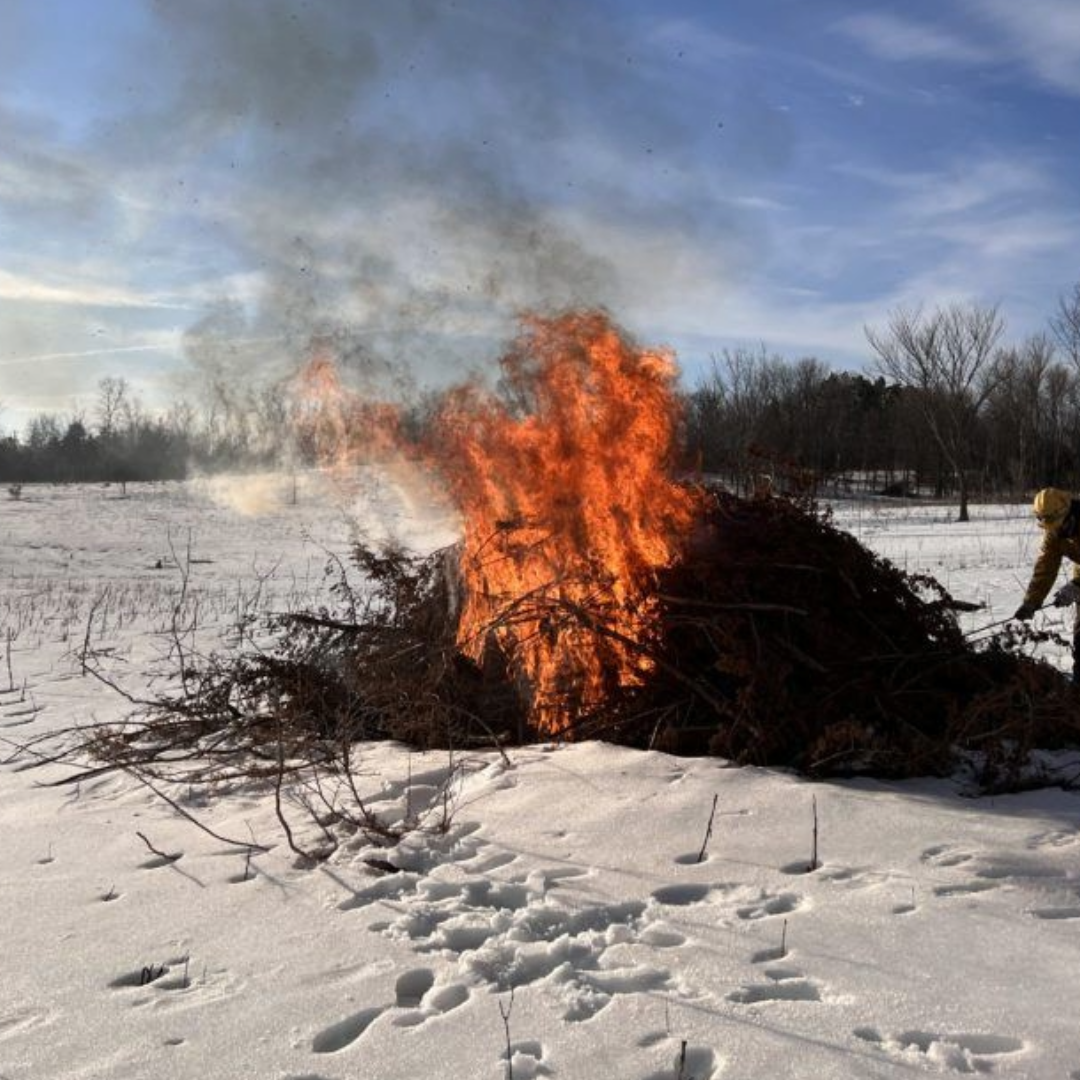 Controlled burn pile attended by staff in the snow